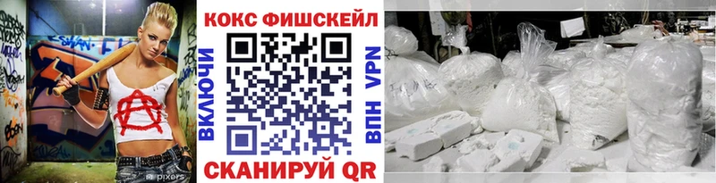 Купить закладки  Домодедово  COCAIN Эквадор 