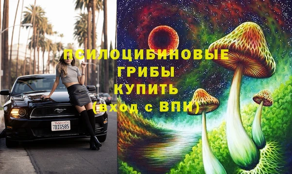 стафф Аркадак