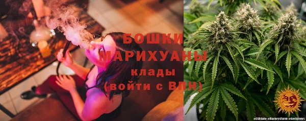 стафф Аркадак